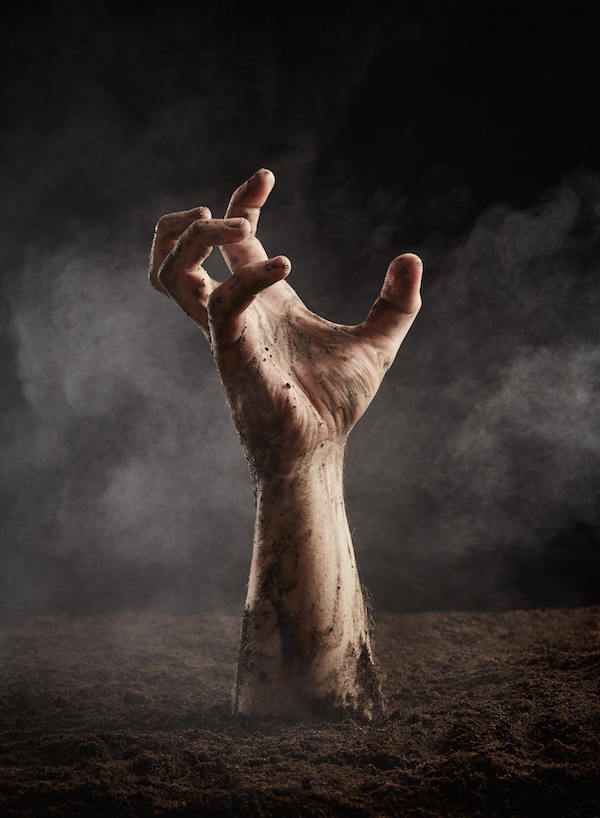 Вылазит из земли. Вылазит из земли. Вылазит из земли. Вылазит из земли. Вылазит из земли.